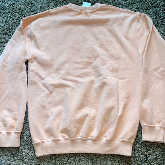 NEW BDG SZ XS URBAN OUTFITTERS DISTRESSED OREGON EMBROIDERED CREW SWEATSHIRT - Picture 5 of 6